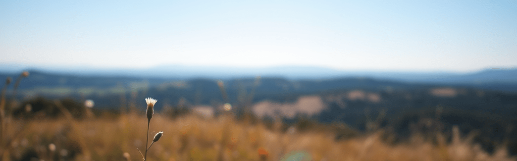 Turbulence to calm: a significant few&nbsp;weeks